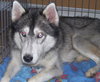 Kiska