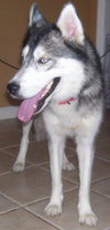 Kiska