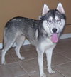Kiska