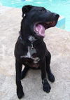 Zoe