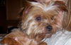 Maggie
