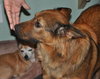 Linda the Sweet Girl