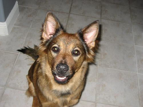 Linda the Sweet Girl
