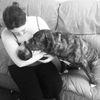 Wonk the Car Loving Mastiff Mix