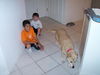 Sandy our Mystery Lab