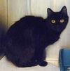Coco the Tiny Girl