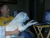 Baxter the Sweet Bulldog
