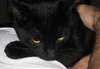 Pye the adorable boy
