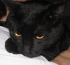 Pye the adorable boy