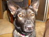 Sascha