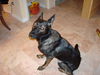 Sascha