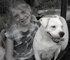 Cher the English Bulldog Diva