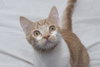 Jenny the Super Loving Sweetheart