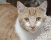Jenny the Super Loving Sweetheart