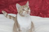 Jenny the Super Loving Sweetheart