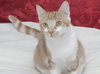 Jenny the Super Loving Sweetheart