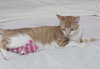 Jenny the Super Loving Sweetheart