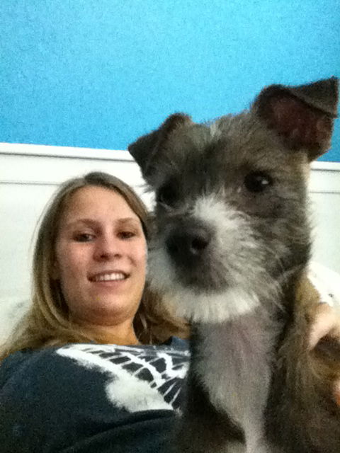 Lee Major the Wirehair Puppy