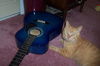 Smiley the FIV + Cat