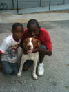 Patches the Pointer Mix