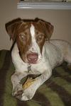 Patches the Pointer Mix