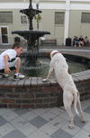 Patches the Pointer Mix