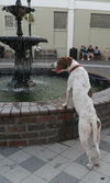 Patches the Pointer Mix