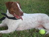 Patches the Pointer Mix