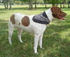 Patches the Pointer Mix