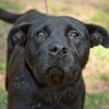 Georgia  the SoCo Fire Lab Mamma