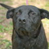 Georgia  the SoCo Fire Lab Mamma
