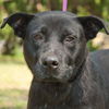 Georgia  the SoCo Fire Lab Mamma
