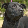 Georgia  the SoCo Fire Lab Mamma