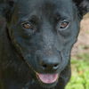 Georgia  the SoCo Fire Lab Mamma