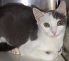 Tobie ~ Sweet And Overlooked