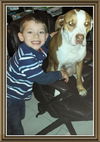 Hoops the Boxer Bulldog