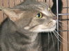 Ripley the boy with stunning green eyes