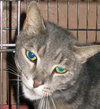 Ripley the boy with stunning green eyes