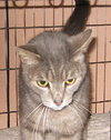 Ripley the boy with stunning green eyes