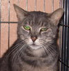 Ripley the boy with stunning green eyes