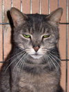Ripley the boy with stunning green eyes