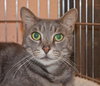 Ripley the boy with stunning green eyes