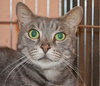 Ripley the boy with stunning green eyes