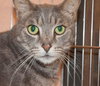 Ripley the boy with stunning green eyes