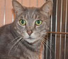 Ripley the boy with stunning green eyes