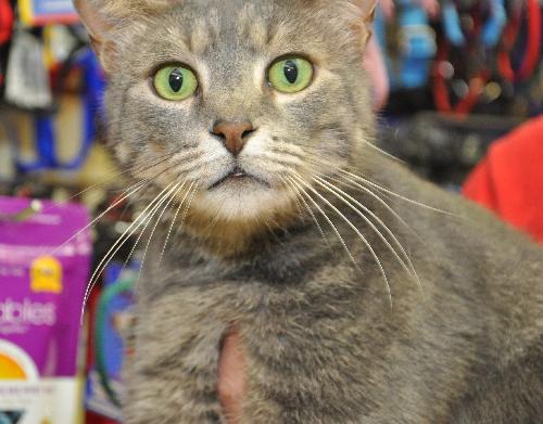 Ripley the boy with stunning green eyes