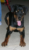 Gunner