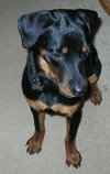 Gunner