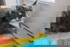Mario the Snuggle Buddy (Video) Cat