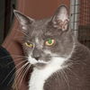 Luigi the Gentle Mellow Fellow